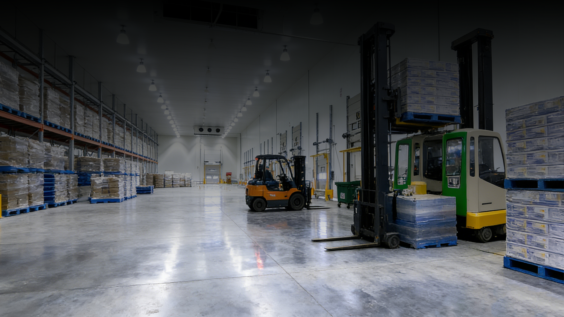 XCube Case Study: Cold Chain Pallet Automation